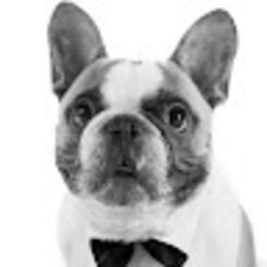 Meet your Posher, Meaghan